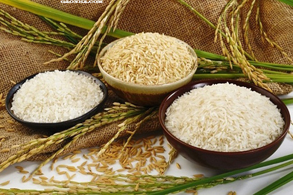 3 chén có các loại gạo khác nhau được đặt trên một vài cành thóc lúa. 