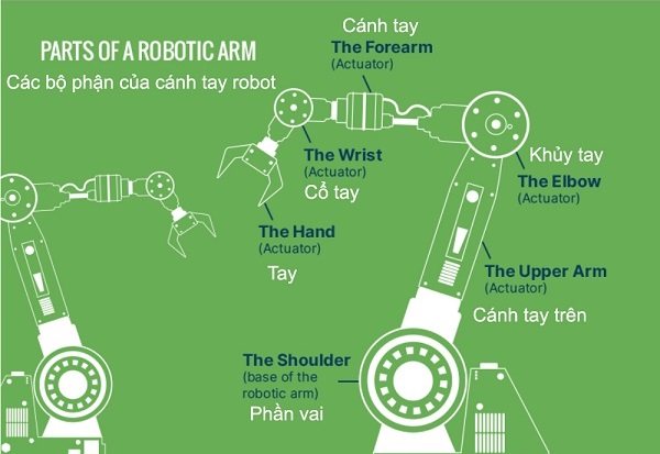 Các bộ phận của cánh tay robot: cánh tay, khủy tay, tay, cánh tay trên, phần vai