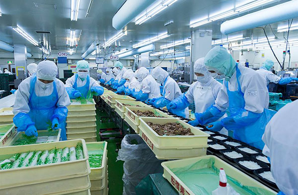 Công nhân mặc đồ bảo hộ màu xanh đang làm việc trong một nhà máy thực phẩm