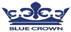 logo công ty đỉnh xanh (bluecrown)