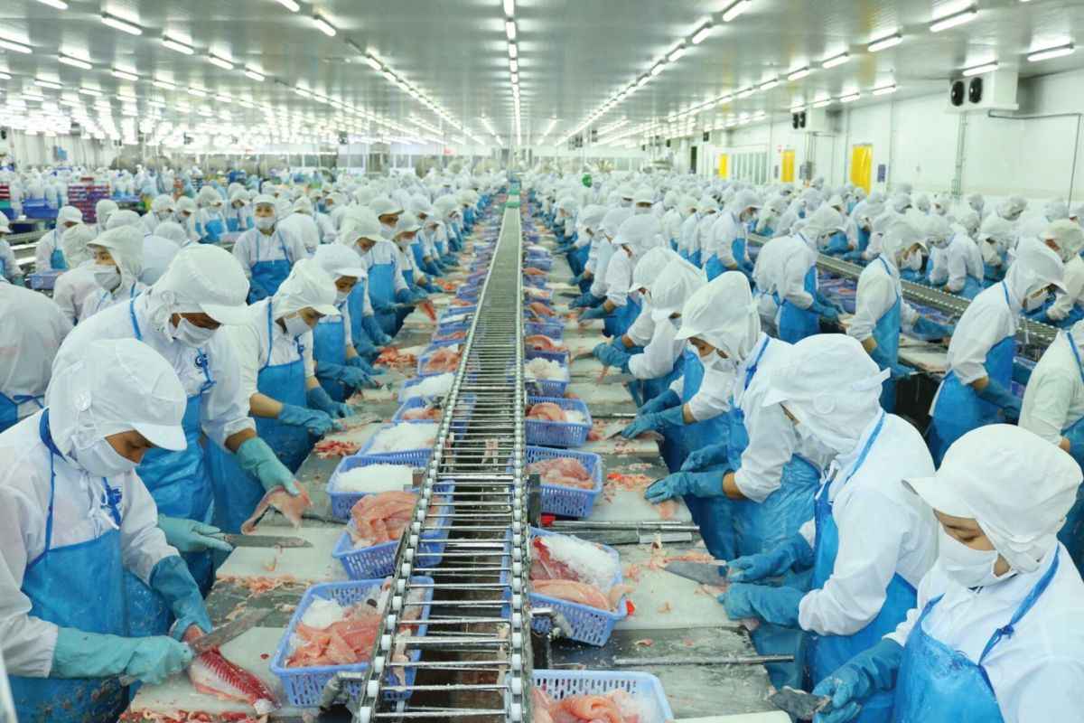 Các công nhân đang làm việc trong nhà máy xuất khẩu Nhật