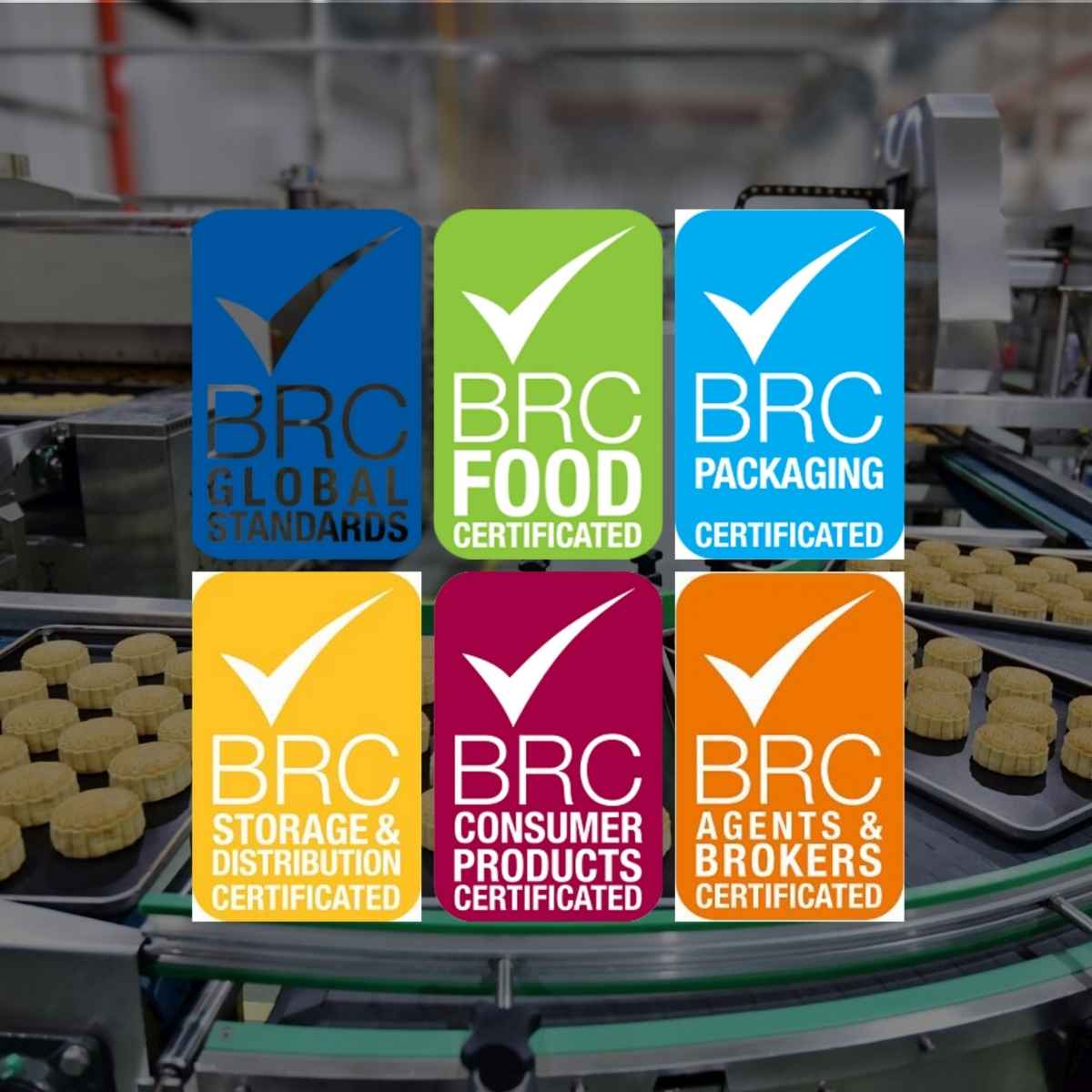 các khung trong hình chữ nhật có text tiêu chuẩn BRC 