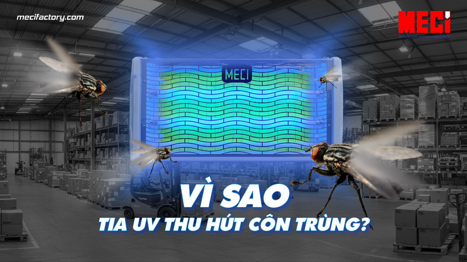 ảnh thumb bài viết ánh sáng uv thu hút côn trùng