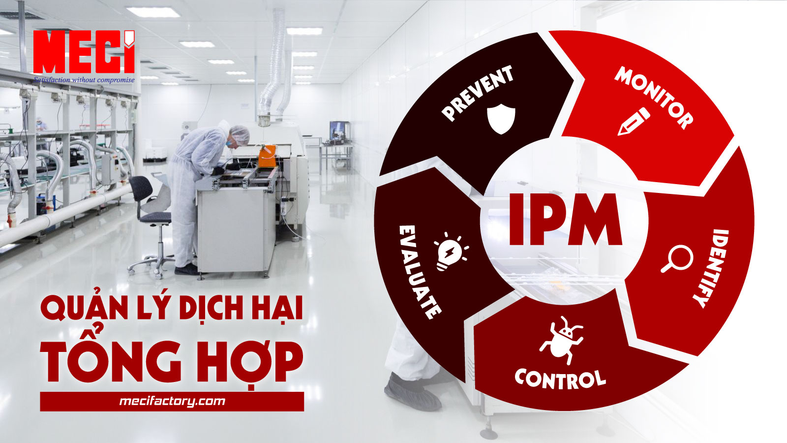 ảnh thumb bài viết quản lý dịch hại tổng hợp IPM